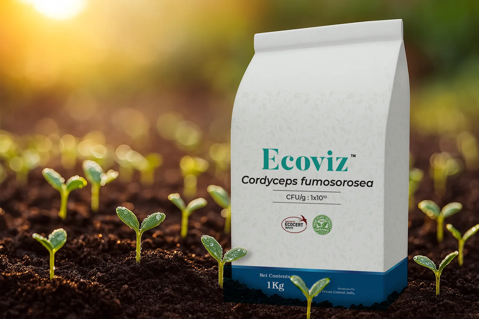Ecoviz