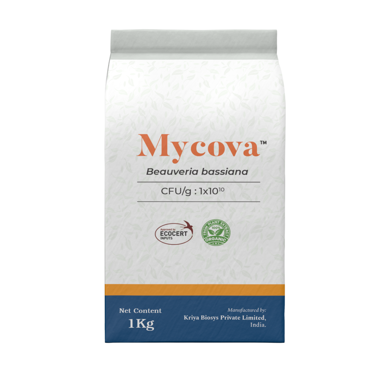 Mycova