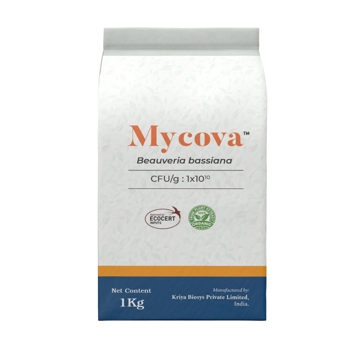 Mycova