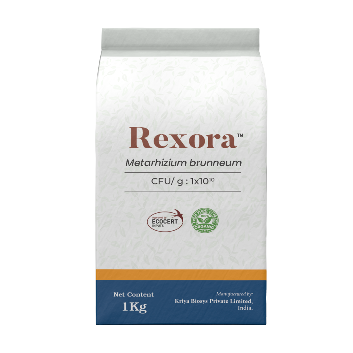 Rexora