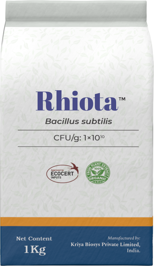Rhiota WP