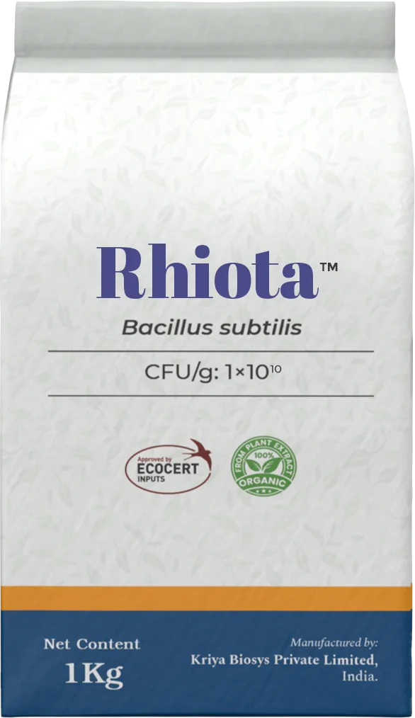 Rhiota