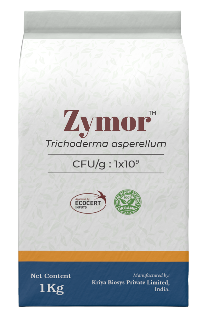 Zymor WP