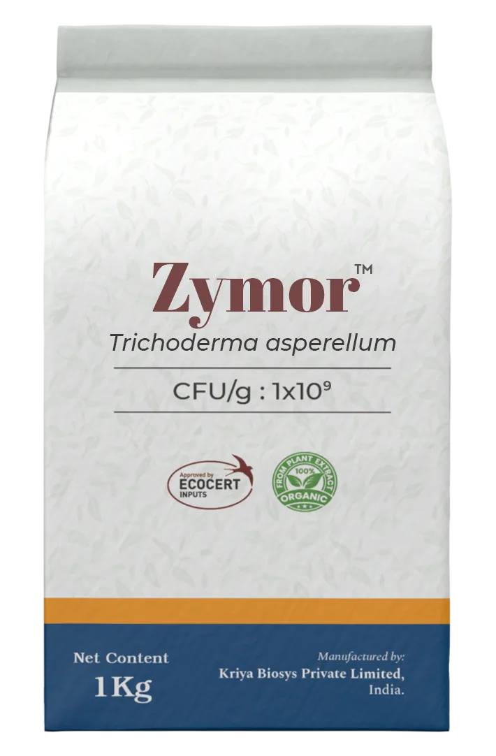 Zymor