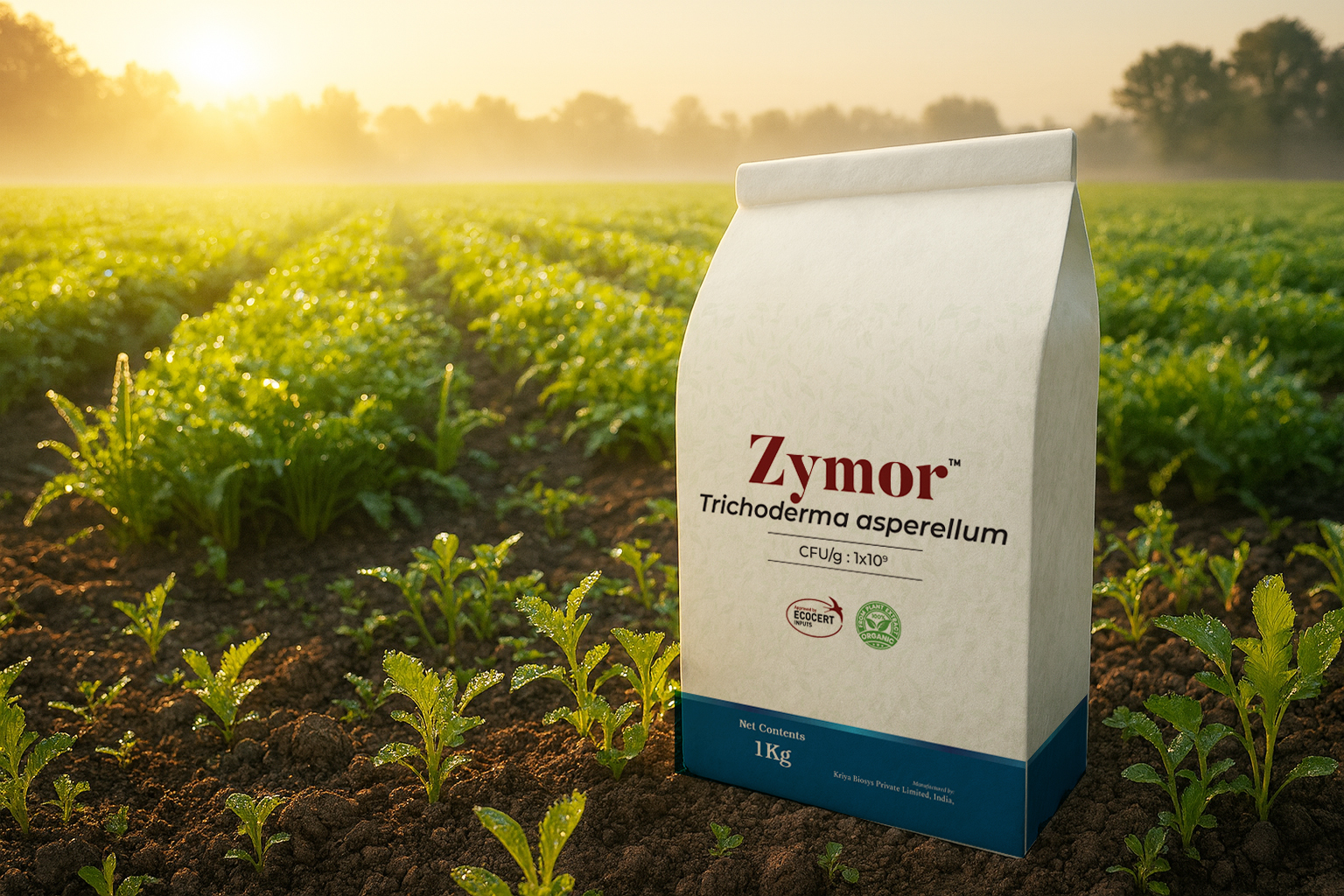 Zymor