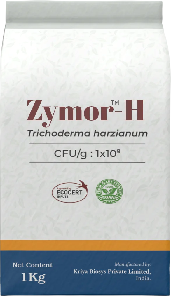 Zymor-H WP