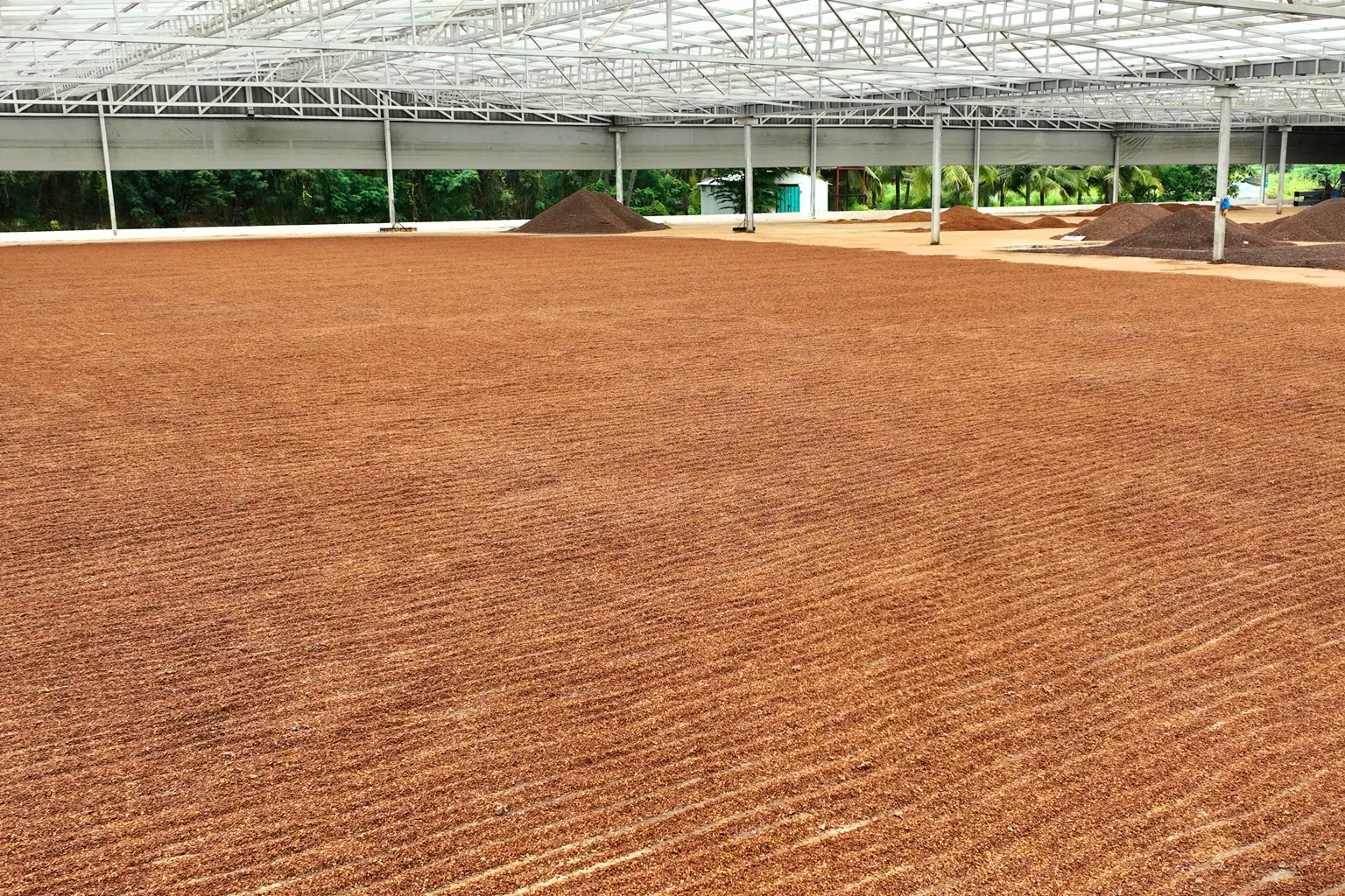 Kriya manufacturing facility