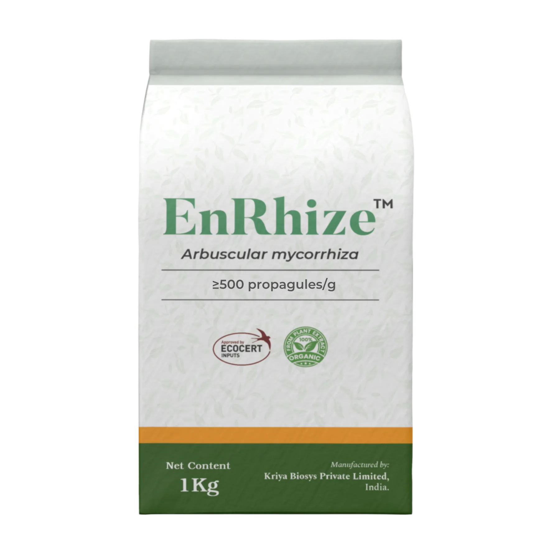 Enrhize mycorrhizae