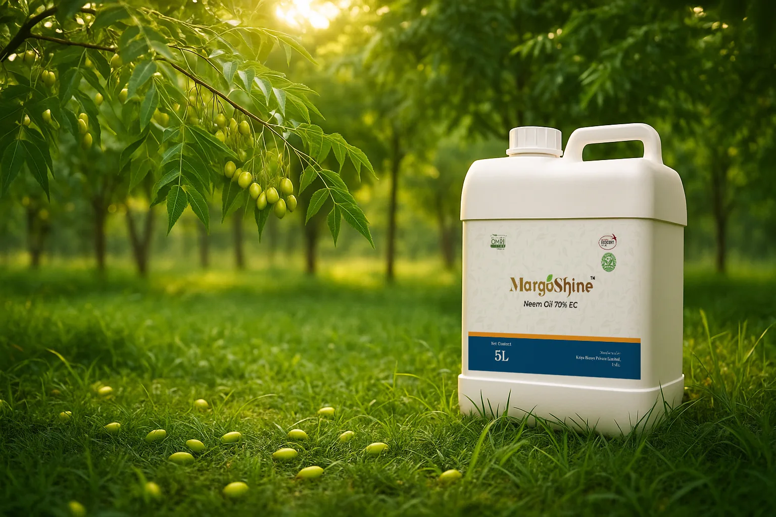 Margoshine product imagery